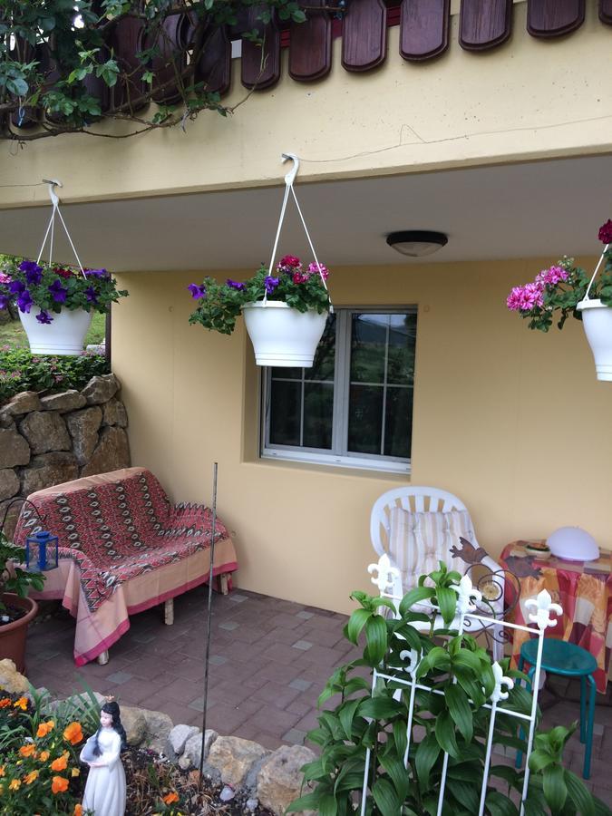 Mona'S Sleep & Go Bed & Breakfast Buren  Luaran gambar