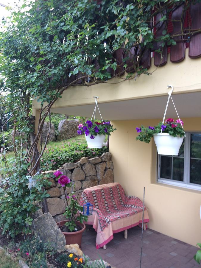 Mona'S Sleep & Go Bed & Breakfast Buren  Luaran gambar