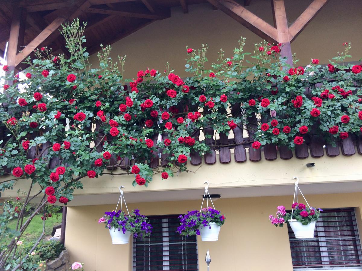 Mona'S Sleep & Go Bed & Breakfast Buren  Luaran gambar
